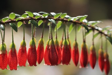 佛山南海区8私人快速借钱网，轻松解决资金难题